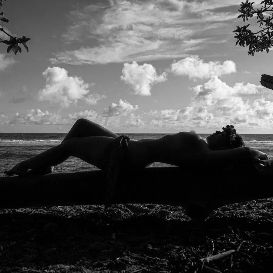 OWTTPhotography's tweet photo. Returning from a holiday weekend  @purrrrlove

#washingtonphotographer #seattlephotographer #photooftheday #photo #photographer #capture #pose #poses #modelphotography #withhumans #photoshoot #hawaii #aloha #ocean #island #kauai  #sunbath #bodyscape #curves #beautiful https://t.co/ZjAEXDxXpy