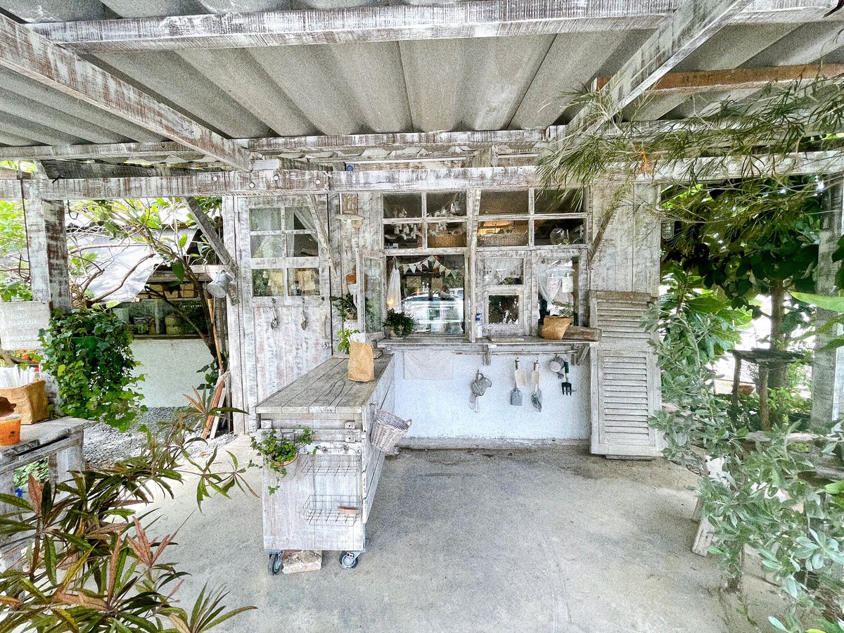 TPainaidee's tweet photo. คาเฟ่สุดชิคย่านบางกรวย ถ่ายรูปสวย กาแฟอร่อยย อยู่ริมถนนด้วยนะ The Barn Brasserie เข้าซอยวัดศรีประวัติ
มาได้เลย ร้านเปิด 09.30-17.00 น. หยุดทุกวันศุกร์ #เที่ยวทั่วไทยไปไหนดี
#คาเฟ่นนทบุรี #reviewcafe #cafe https://t.co/Ip8nNKI8HW