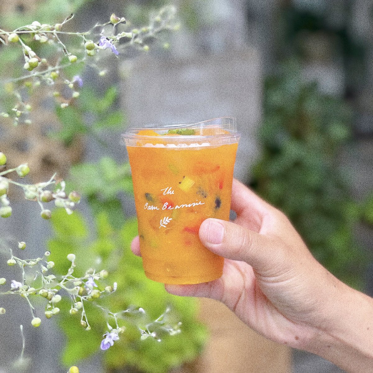 TPainaidee's tweet photo. คาเฟ่สุดชิคย่านบางกรวย ถ่ายรูปสวย กาแฟอร่อยย อยู่ริมถนนด้วยนะ The Barn Brasserie เข้าซอยวัดศรีประวัติ
มาได้เลย ร้านเปิด 09.30-17.00 น. หยุดทุกวันศุกร์ #เที่ยวทั่วไทยไปไหนดี
#คาเฟ่นนทบุรี #reviewcafe #cafe https://t.co/Ip8nNKI8HW