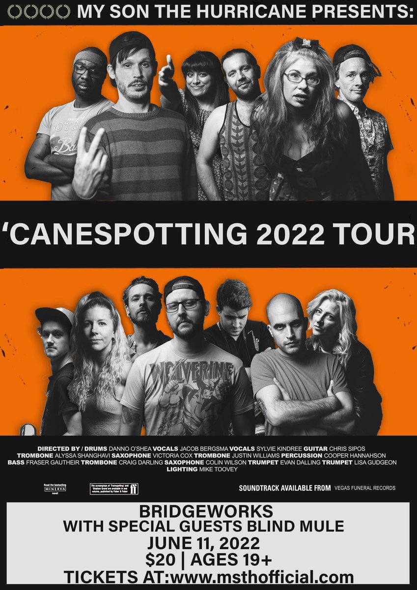 BlindMule tweet media