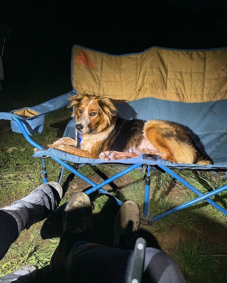 TriumphPetFood's tweet photo. Who's making the s'mores!?🍫 🐕 🔥 

📸 @itsapack

#TriumphTogether #TriumphPack https://t.co/XffC9Nc0IT