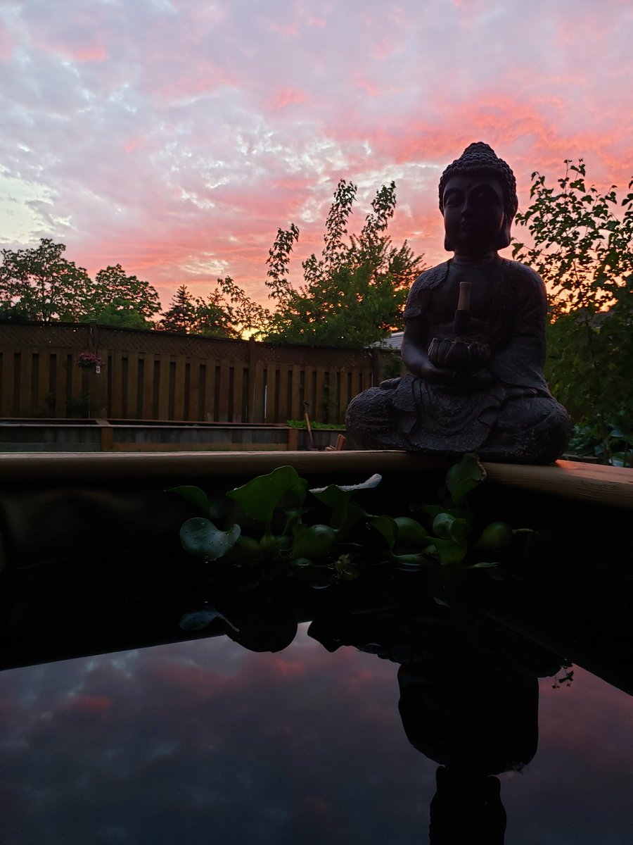 jens_write's tweet image. a bit of calm after the storm