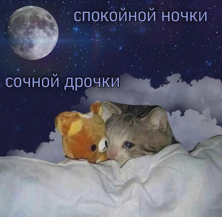 Vladlena Merize tweet media