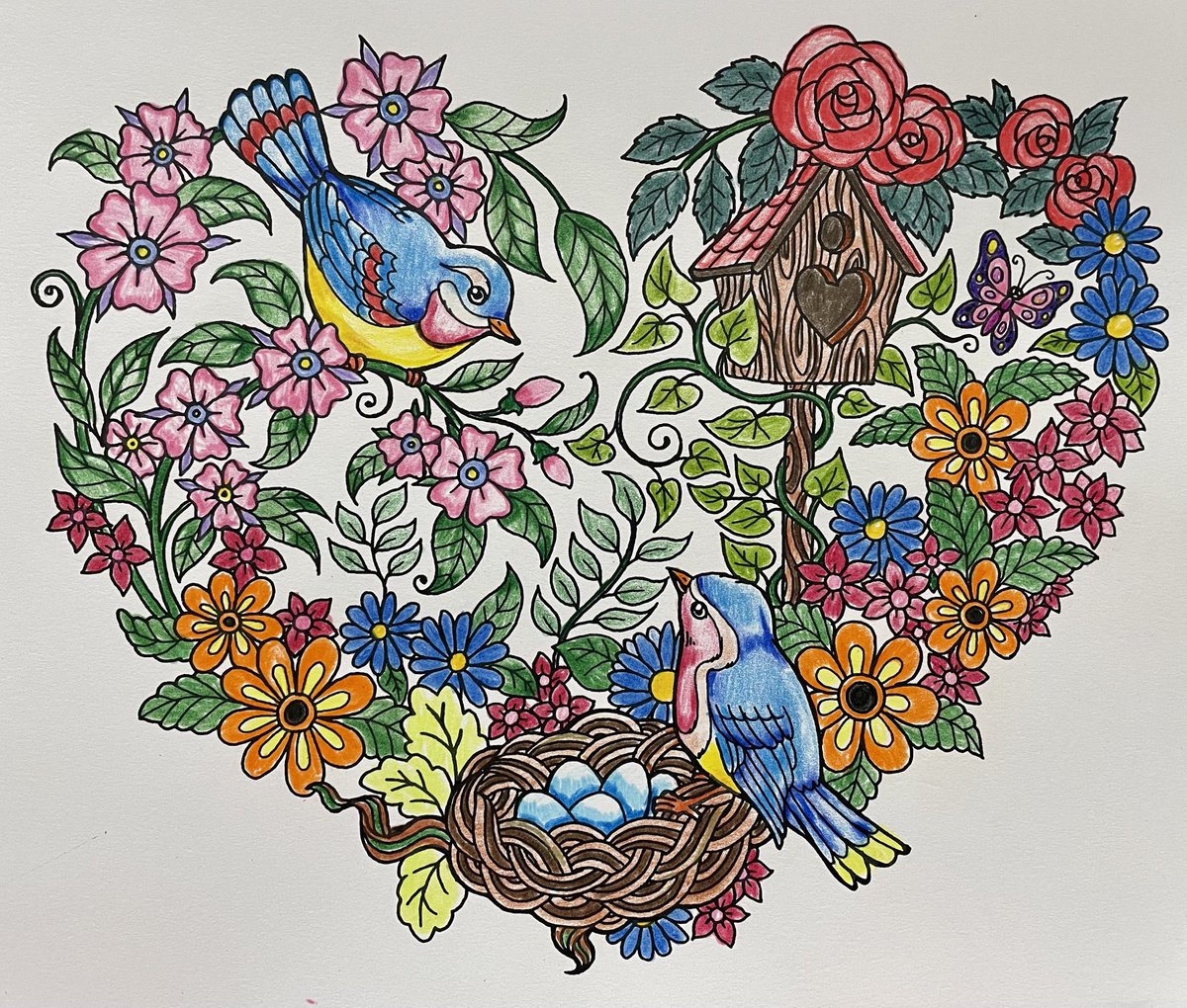 TxStarCat's tweet photo. Welcome home โค๏ธ Suprise ๐ฅ๐ฅ๐ฅ Blissful Scenes #Colorit #AdultColorbook #BlissfulScenes #Color #Colormyworld โฆ@coloritcomโฉ ๐๐จ https://t.co/e0iPTqJE8f