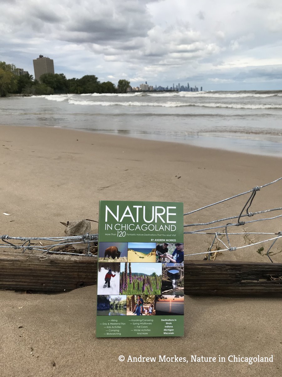 NatureinChicago's tweet photo. Looking for some great summer nature spots in Chicagoland? If so, my book, Nature in Chicagoland: More Than 120 Fantastic Nature Destinations That You Must Visit, features amazing destinations in IL, IN, MI &amp; WI; 306 pgs, 210+ photos &amp; so much fun to write https://t.co/MQfPATAyoD https://t.co/wj9DrprzhK