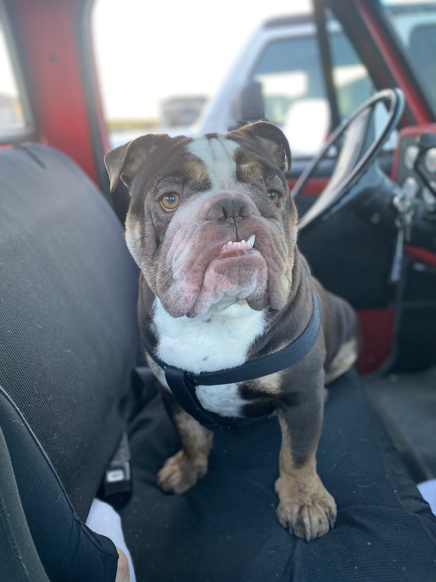 megaanhudson's tweet photo. the most handsome boy https://t.co/OhguBLyRqf