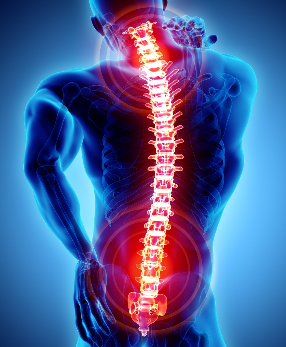 Here's a look at the blood tests, imagining tests and other procedures used to diagnose conditions that affect your muscles and skeletal system 

#musculoskeletaldisorders

medicine.com/health/tests-m…
