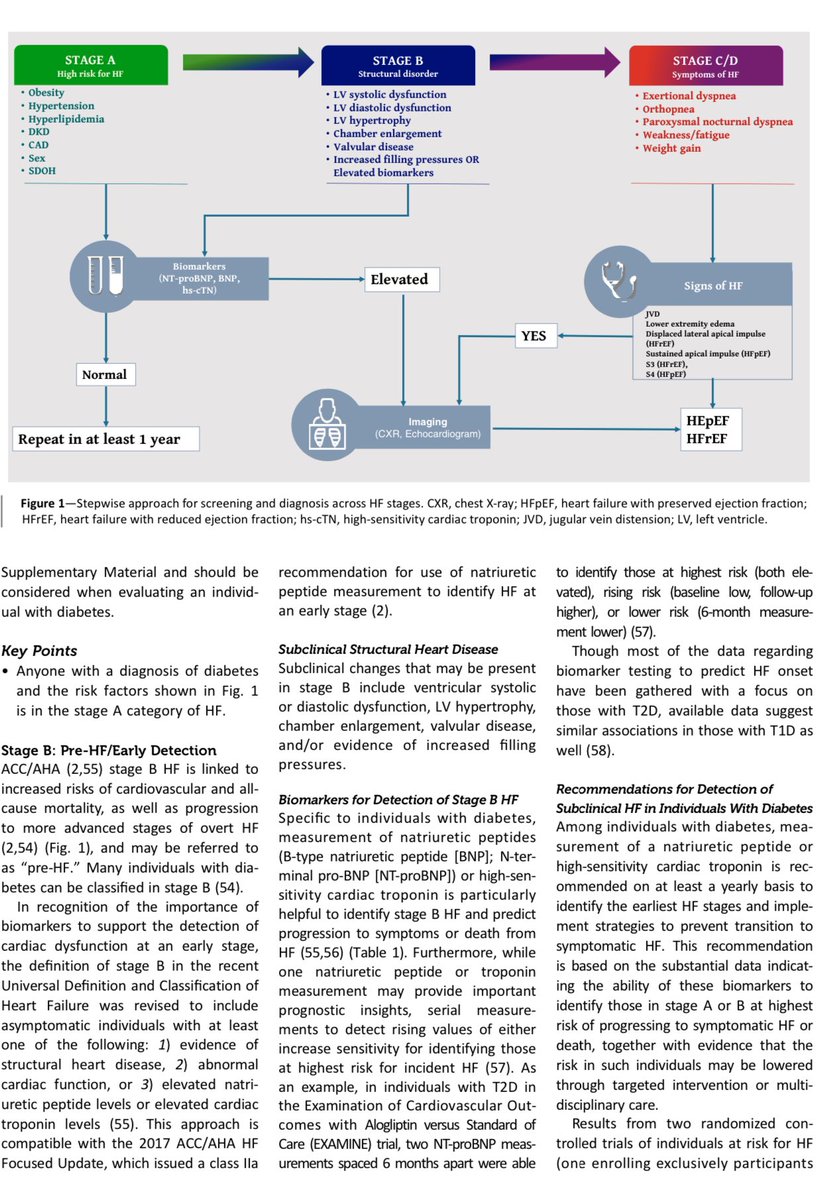 HanCardiomd's tweet photo. A must-read article 

#HeartFailure: An Underappreciated Complication of Diabetes. A Consensus Report of the @AmDiabetesAssn @ACCinTouch @JACCJournals @JJheart_doc 

#CardioTwitter #MedTwitter https://t.co/LrSe3CmCXf