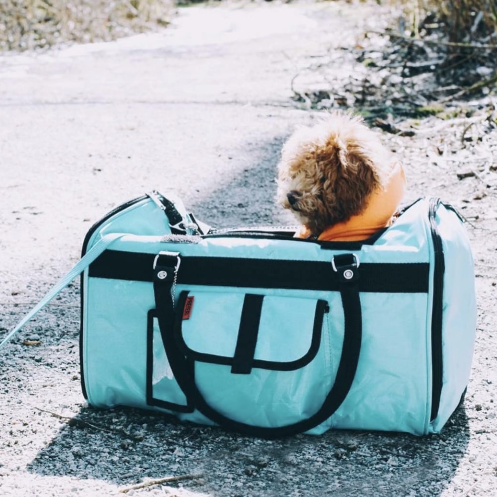 vamp_life_'s tweet photo. Pets can be the best travel companions, but they also experience a lot of fear when outside of their comfort zone. The Hideaway Duffel is designed to help keep pets safe, healthy &amp; secure. Visit our store to grab yours! #travel #pet #bag #petlovers #dog #aqua #brown #orange #fun https://t.co/MphY4SpiOY