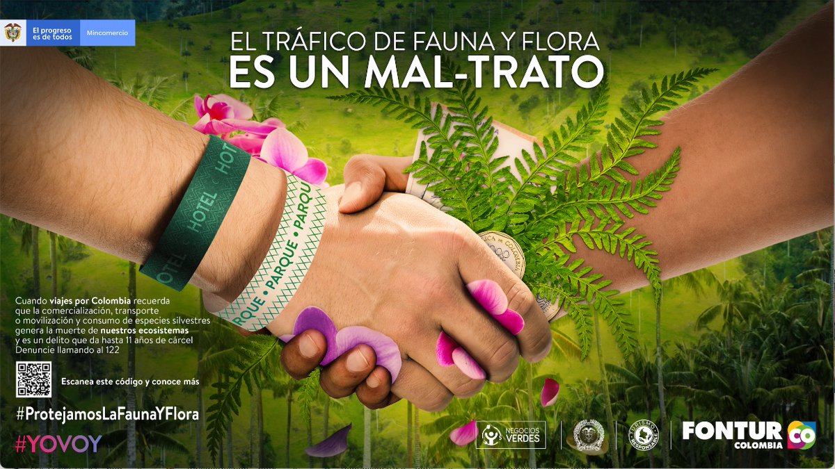 MincomercioCo's tweet photo. #DíaTurismoResponsable | El tráfico ilegal de especies silvestres sigue siendo una de las principales amenazas para la biodiversidad del país 🇨🇴. Entre los años 2010 y 2019, se recuperaron cerca de 1️⃣1️⃣4️⃣ mil especies de fauna, entre estas reptiles, aves y mamíferos 🦎🕊️🦤 https://t.co/ODjhjtAhQA