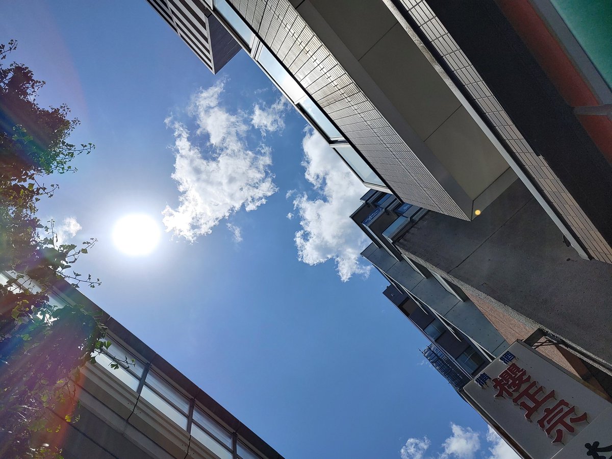 da_minced's tweet photo. 値上りだ品薄だと騒がしいですが、
ふと車を運転しながら「30年前までは死傷事故が何倍もありました」という話を思い出す。車や整備の進化で、今くらいの安心感の中運転してられるんだな。

時代時代で様々な大変はあれど、未来へのバトンはちゃんと繋いでいきたいものです。

ダミンチはじまります！ https://t.co/RSK2cYDmGh