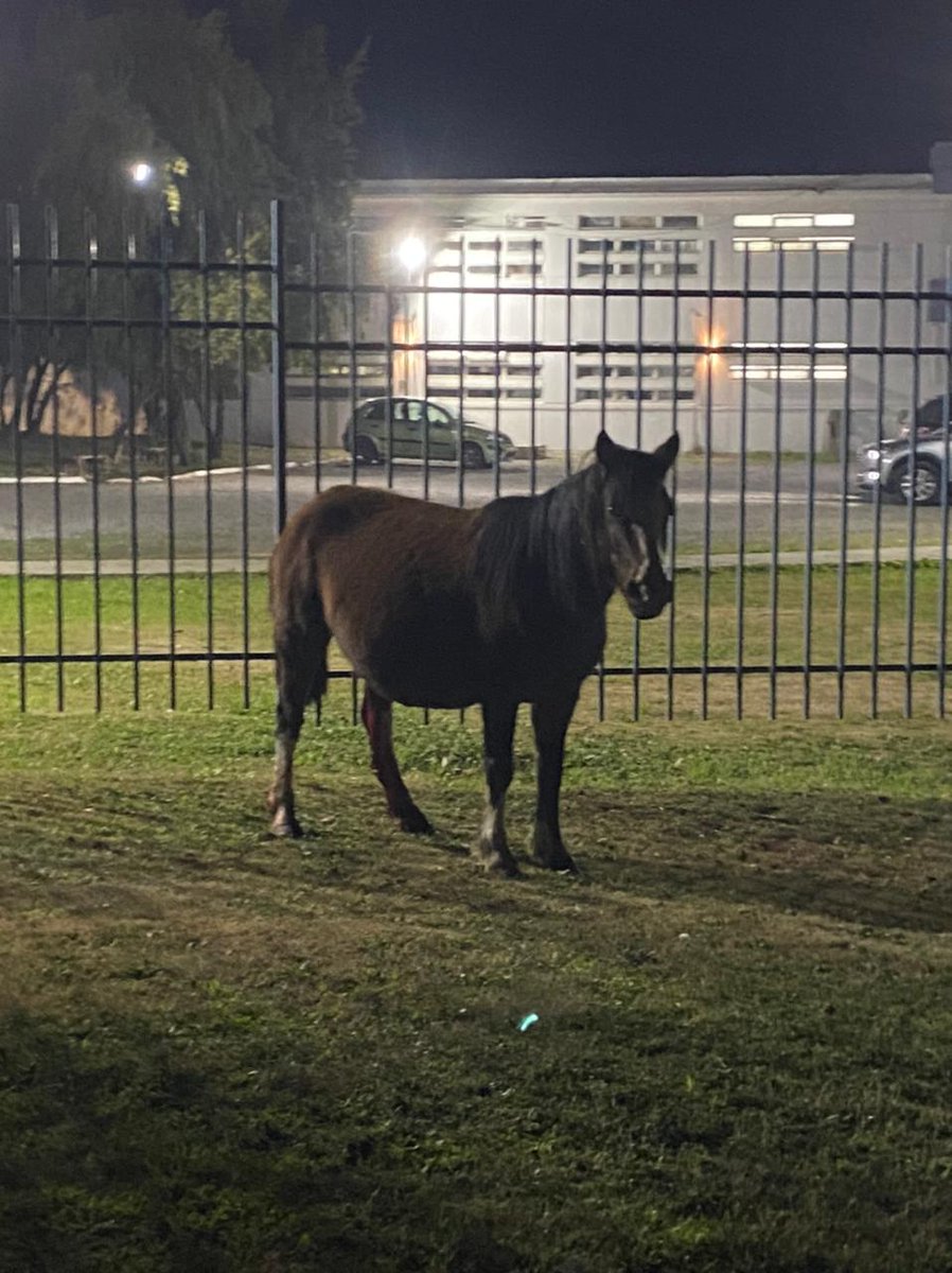 🇨🇱㊝⃟Ŵ@ŁŢ£®*༒ঔৣۣۣۜ͜͡ tweet media