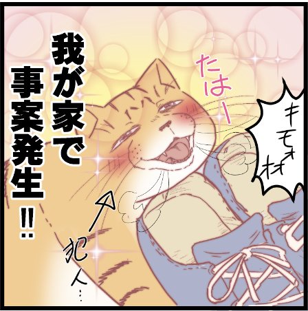 通報が必要かな?笑
 #ニャンコ #まんが #猫 #猫あるある #猫漫画 #ペット #飼い主 #エッセイ漫画 #キャット #ねこのいる生活 #4コマ 