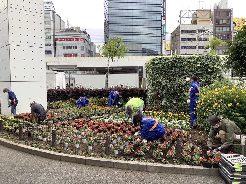 川崎駅前の花壇にて 川崎駅社員が川崎市役所や地域ボランティアの皆さまと一緒に花植えに参加しました ボランティアの皆さまのご指導のもと 華やかな花壇になりました 今後も地域とのつながりを大切に 地域の皆さまから信頼される 川崎駅 を目指します 南