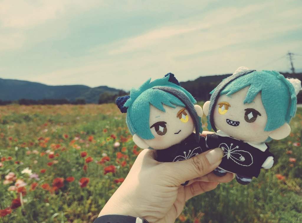 twstchocousagi's tweet photo. 昨日はかわいいカフェ☕とポピー畑に行ってきました🌼🌼
#twstぬい撮り部 
#にゃんにゃんうつぼ https://t.co/TB9f725o94