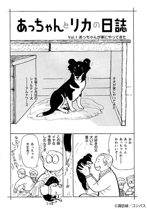 動物 を含むマンガ一覧 古い順 56ページ ツイコミ 仮