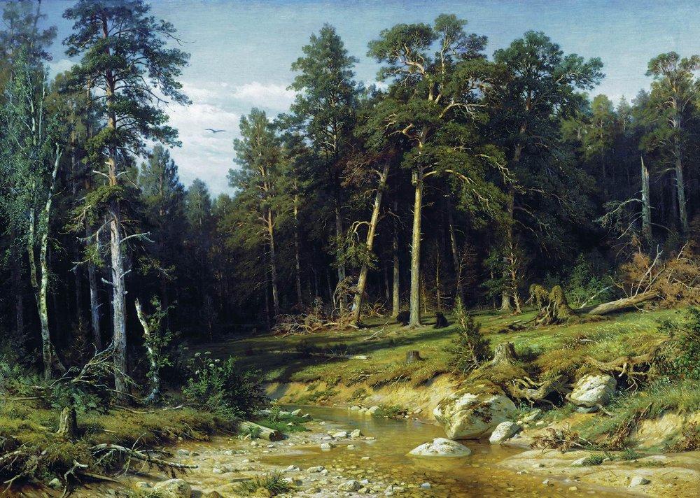 artistshishkin's tweet photo. Pine Forest in Vyatka Province, 1872 #shishkin #ivanshishkin https://t.co/tYL5XWqju1 https://t.co/nkYjDwnGoe