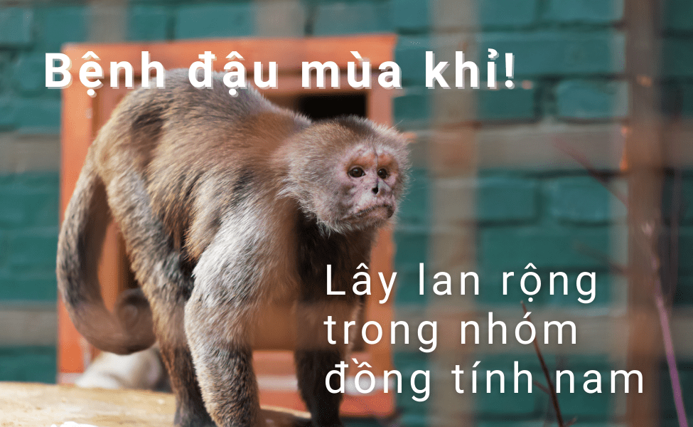 eblogviet's tweet photo. Bệnh đầu mùa khỉ lây lan rộng trong nhóm đồng tính nam

https://t.co/CITcG6Puqr https://t.co/bVTDEe9Jse