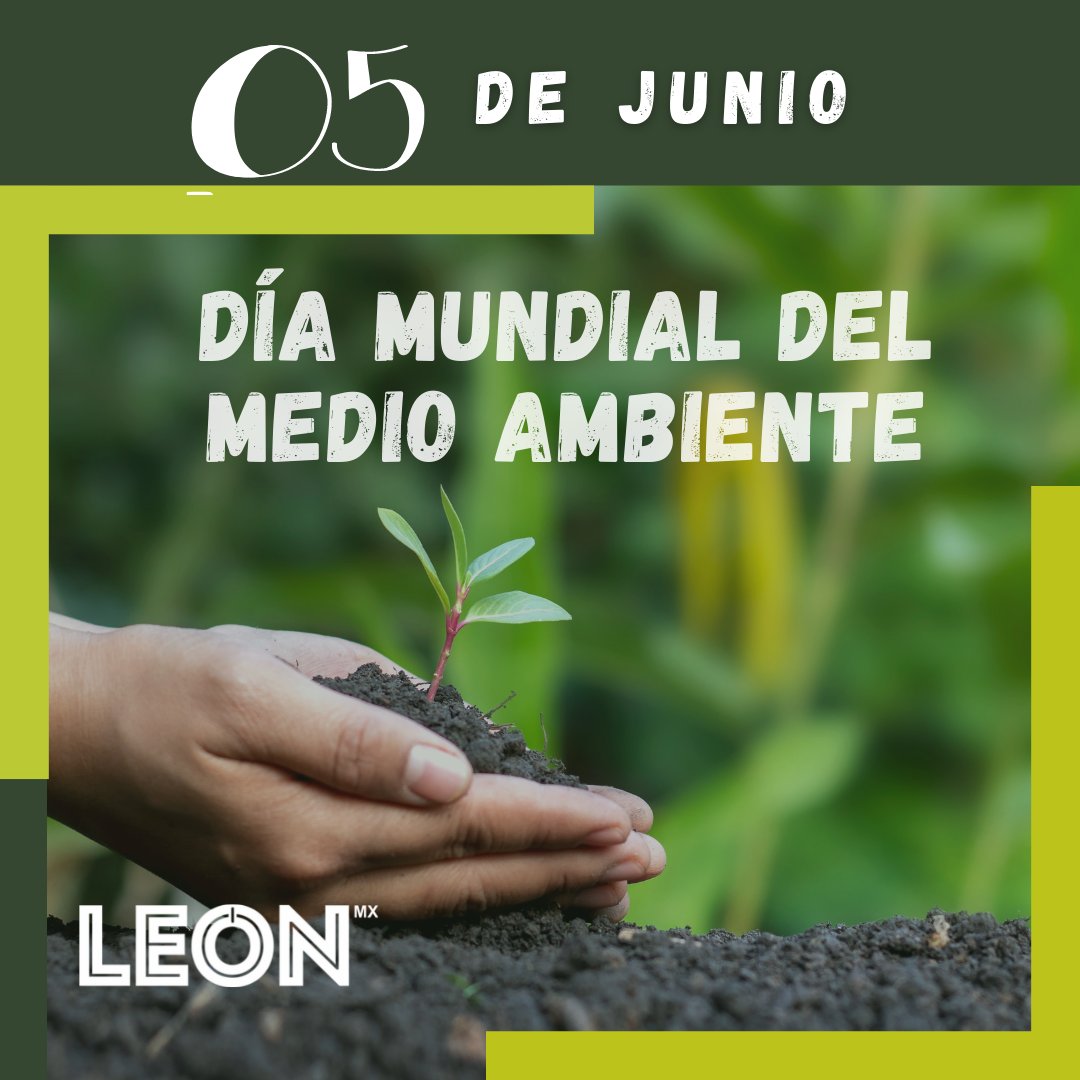 León MX tweet media