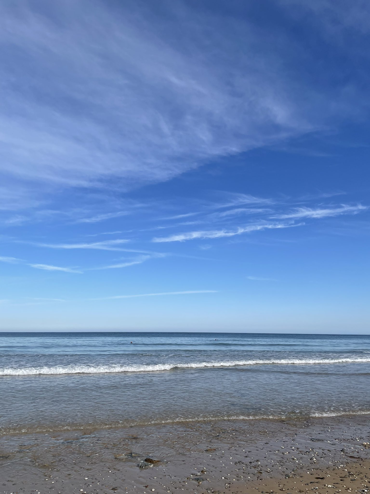 DaveWatergateBayAM on Twitter "Today at Watergate. Unbelievable find a plastic ice cream