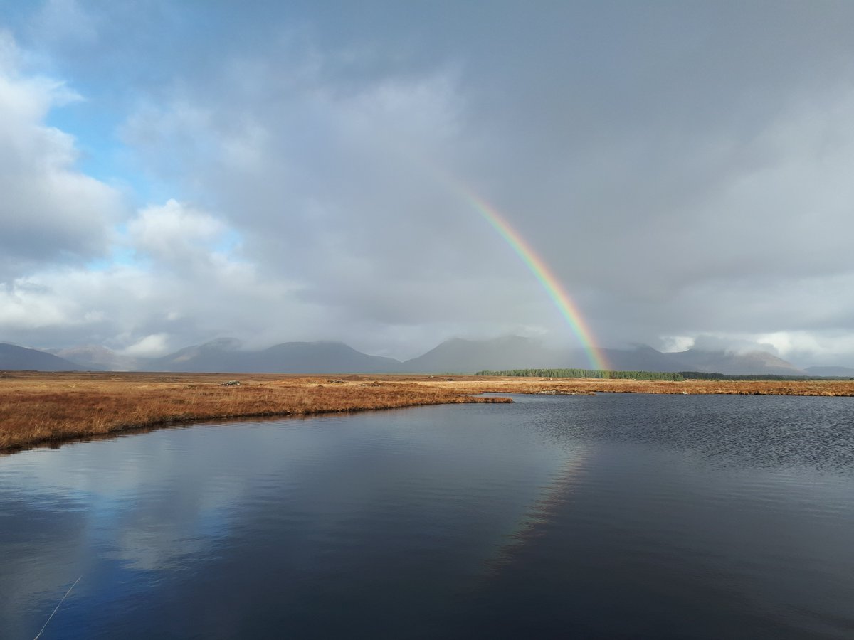 Emma Gray (@dremmagray) on Twitter photo Happy #WorldPeatlandsDay ! Check out our recent review on #dystrophic lakes which are an important #habitat for many #freshwater species in #peatlands <a href="/PeAT_Lakes/">PeAT Lakes Project</a> doi.org/10.1016/j.jnc.… Happy #WorldPeatlandsDay ! Check out our recent review on #dystrophic lakes which are an important #habitat for many #freshwater species in #peatlands <a href="/PeAT_Lakes/">PeAT Lakes Project</a> doi.org/10.1016/j.jnc.…