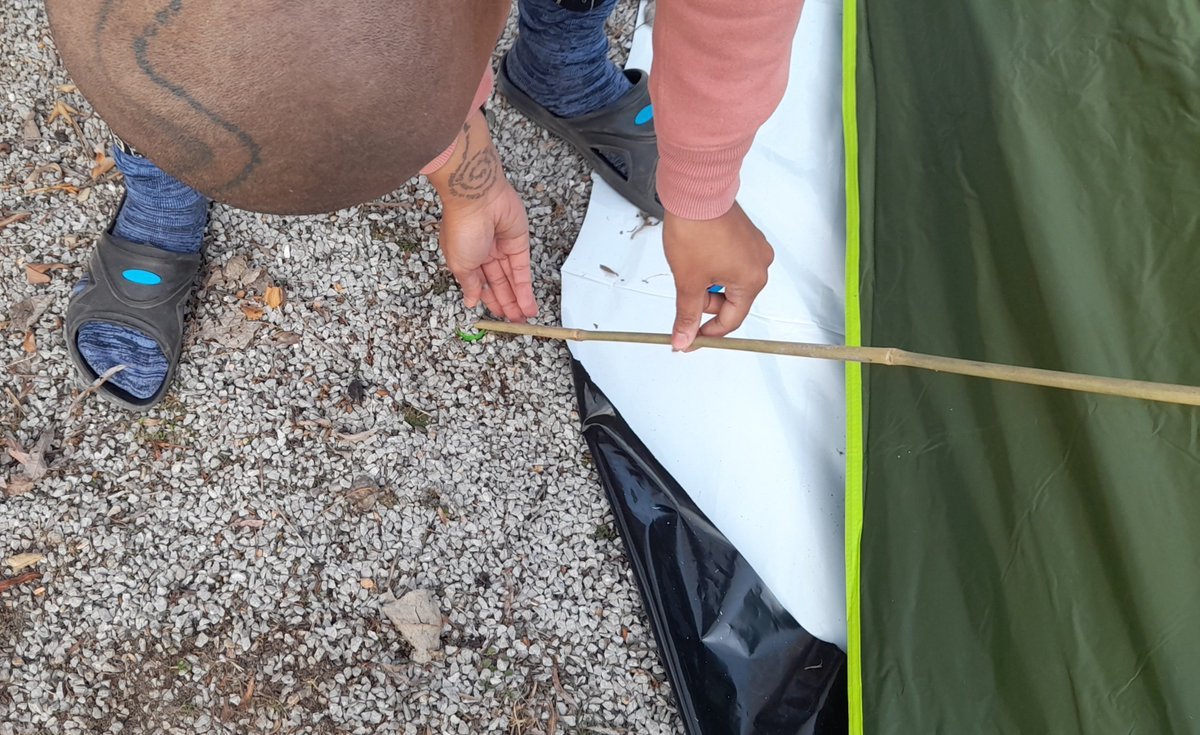 boldlipsglobal's tweet photo. Figuring Out #tentlife

https://t.co/yuBamEnozb

#outdoors #outdoor #headshave #baldfemale #baldwoman #bamboo #naturalwoman  #curves #nudist #shaved #baldgirl #smoothshaved #girlswithshavedheads https://t.co/YDNWKYJaBx