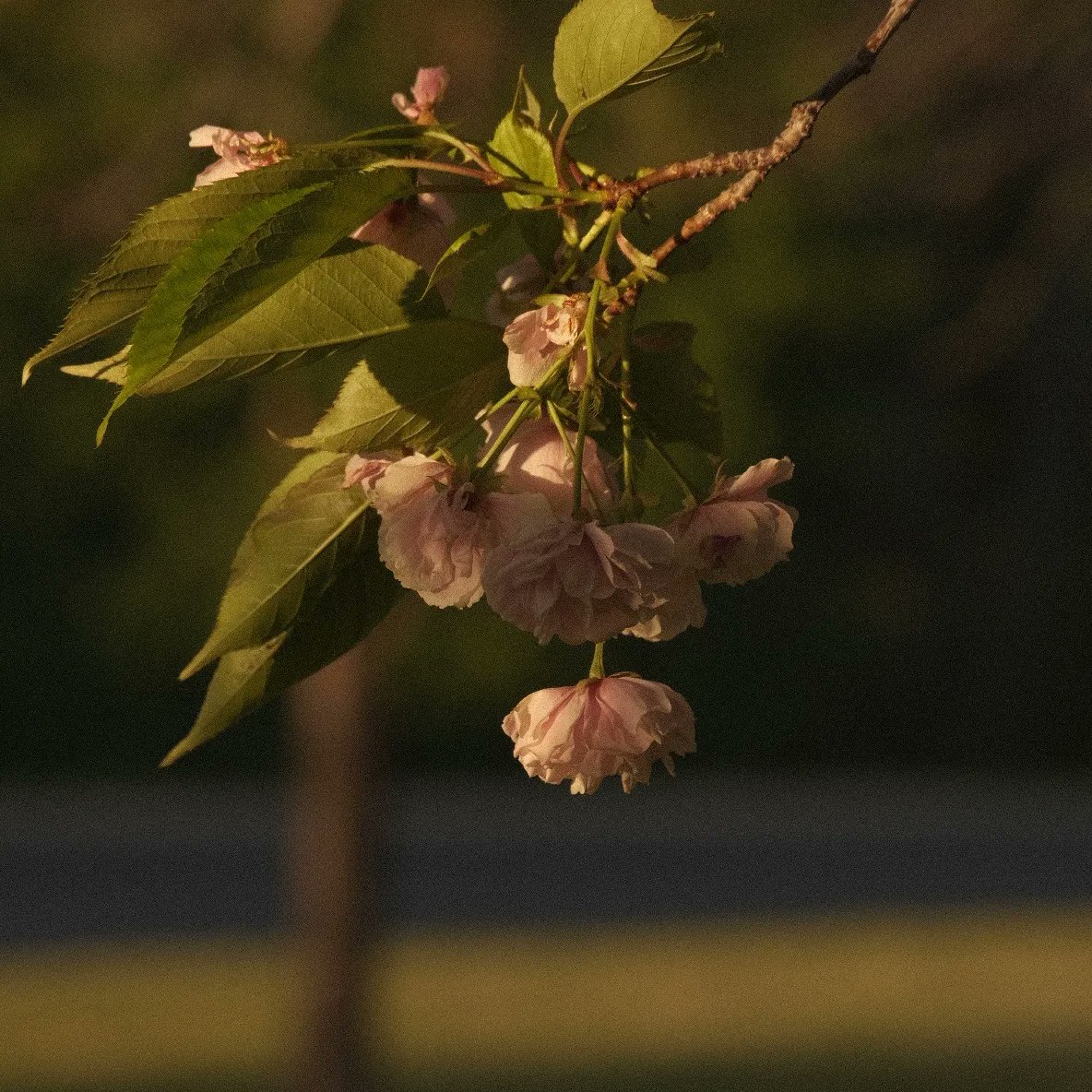 A couple of my recent favs. 
<a href="/FujifilmX_US/">FUJIFILM X/GFX USA</a>