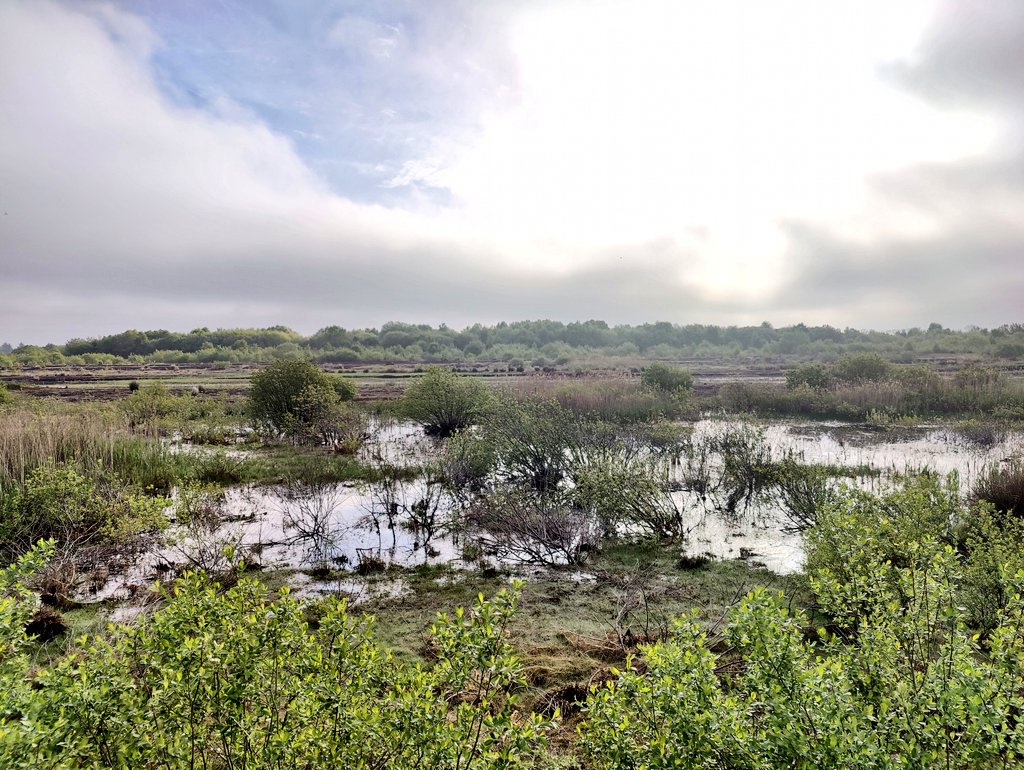 MidShannon's tweet photo. We all heard the news yesterday from @EPAIreland at #ClimateConference2022. On #WorldPeatlandsDay we need to start taking action on our bogs. Talking without action is going to get us nowhere. Enough of the desecration and focus on applying the rehabilitation. https://t.co/QnnqprzmtT
