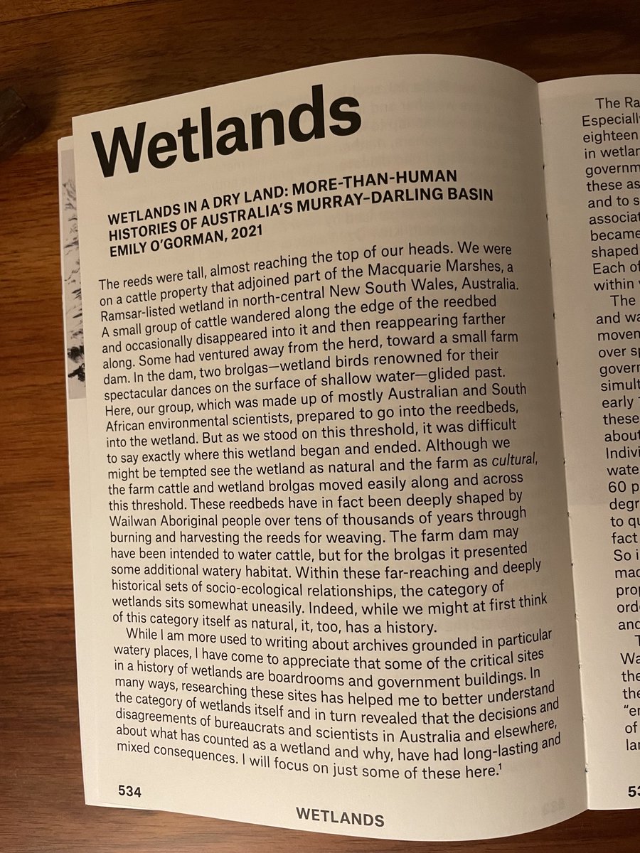 OGormanEmily's tweet photo. My copy of ‘rivus: a glossary of water’ arrived! It is such a beautiful publication edited by José Roca and @juanbatfran as part of the Biennale of Sydney. Pleased to have a chapter on wetlands included. #envhum #envhist https://t.co/QdRFqWS9RG