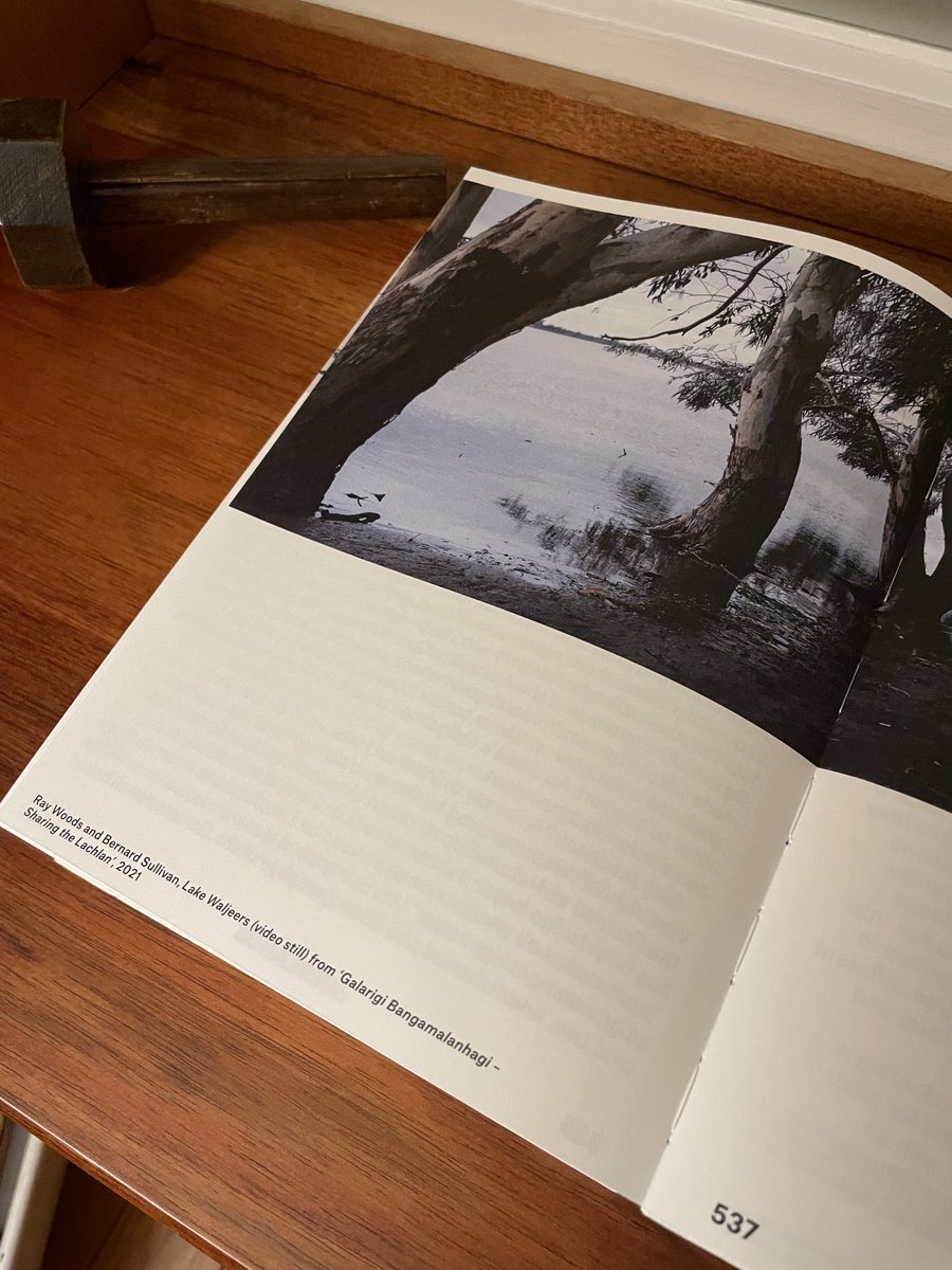 OGormanEmily's tweet photo. My copy of ‘rivus: a glossary of water’ arrived! It is such a beautiful publication edited by José Roca and @juanbatfran as part of the Biennale of Sydney. Pleased to have a chapter on wetlands included. #envhum #envhist https://t.co/QdRFqWS9RG