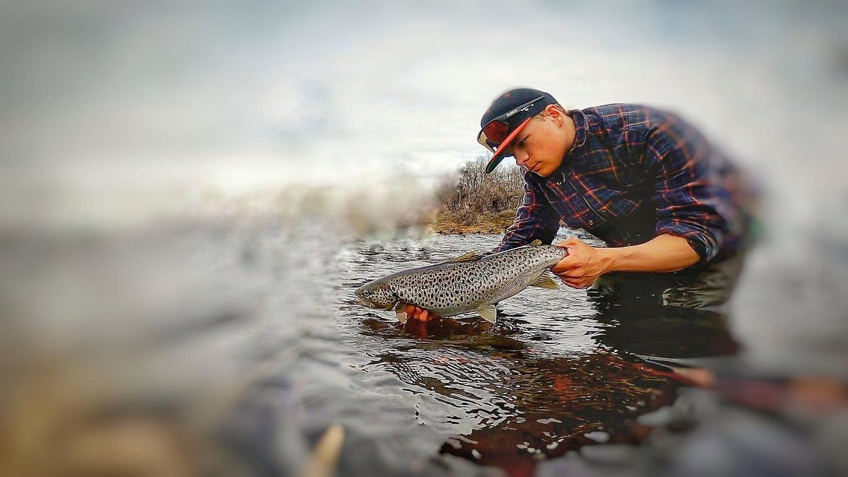 RapalaProguide's tweet image. BAP - En ny het färg 
Nytt blogginlägg av Lucas Lövgren

Ett kort fiskepass som resulterade i några fina fiskar över 2kg. Nya färgerna (BAP,BLK) i Shadow Rap familjen verkar vara ett hett kor...... Läs mer rapalaproguide.se/2022/06/bap-en…