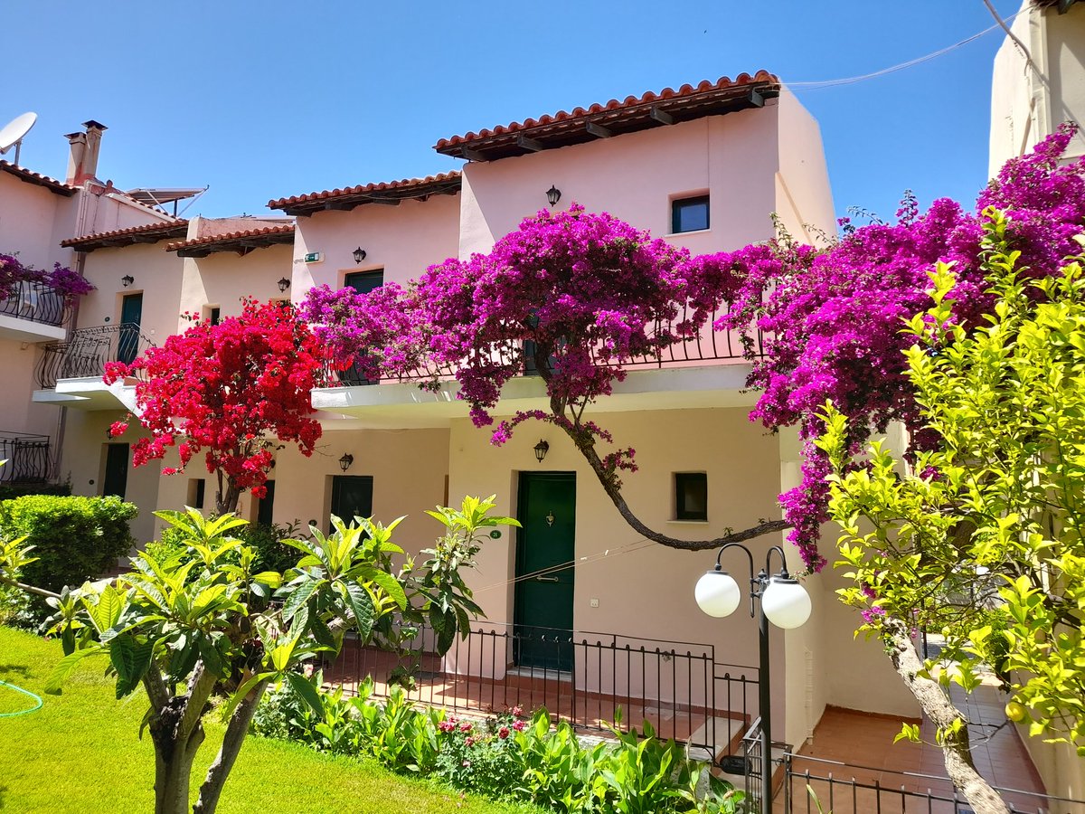 Great fun going on holiday with school friends from Zimbabwe. 40 years since we last saw eachother.