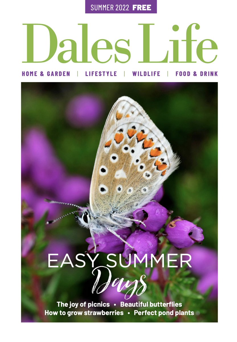 Dales Life (@dales_life) on Twitter photo Our super summer issue is now online for you to browse over the Jubilee weekend! Doorstep deliveries begin next week, but meanwhile you can pick up a print copy from <a href="/Mainsgill_Farm/">Mainsgill Farm Shop</a>, <a href="/Campbells1868/">Campbells of Leyburn</a> or <a href="/TennantsAuction/">Tennants Auctioneers</a>... and we'll be stocking more collection points soon. Our super summer issue is now online for you to browse over the Jubilee weekend! Doorstep deliveries begin next week, but meanwhile you can pick up a print copy from <a href="/Mainsgill_Farm/">Mainsgill Farm Shop</a>, <a href="/Campbells1868/">Campbells of Leyburn</a> or <a href="/TennantsAuction/">Tennants Auctioneers</a>... and we'll be stocking more collection points soon.