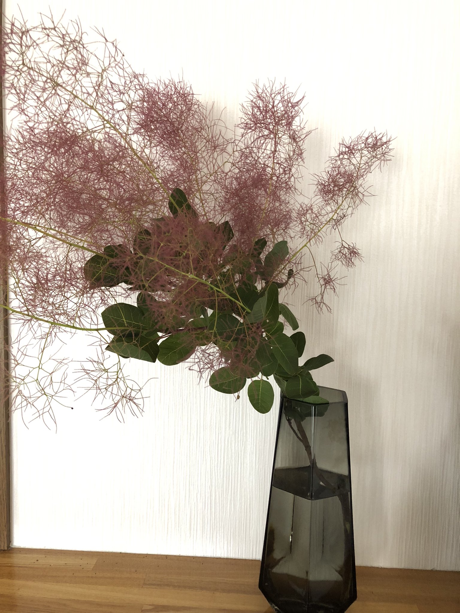 Yururi 6月に買える珍しい花 850円でした ドライフラワーになっても可愛いな 子供達も興味深々 スモークツリーの 花言葉は 煙に巻く 賢明 賑やかな家庭 儚い青春 です スモークツリー T Co Amf5wxteuj Twitter