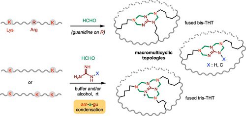 Grossmann Lab tweet media