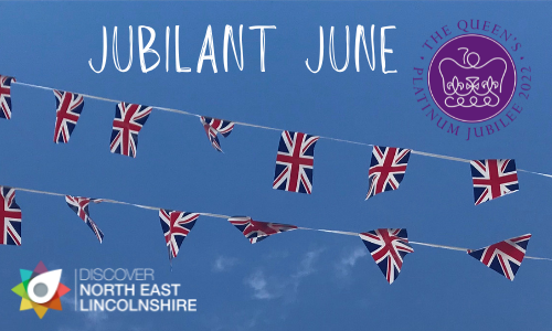 DiscoverNEL tweet media