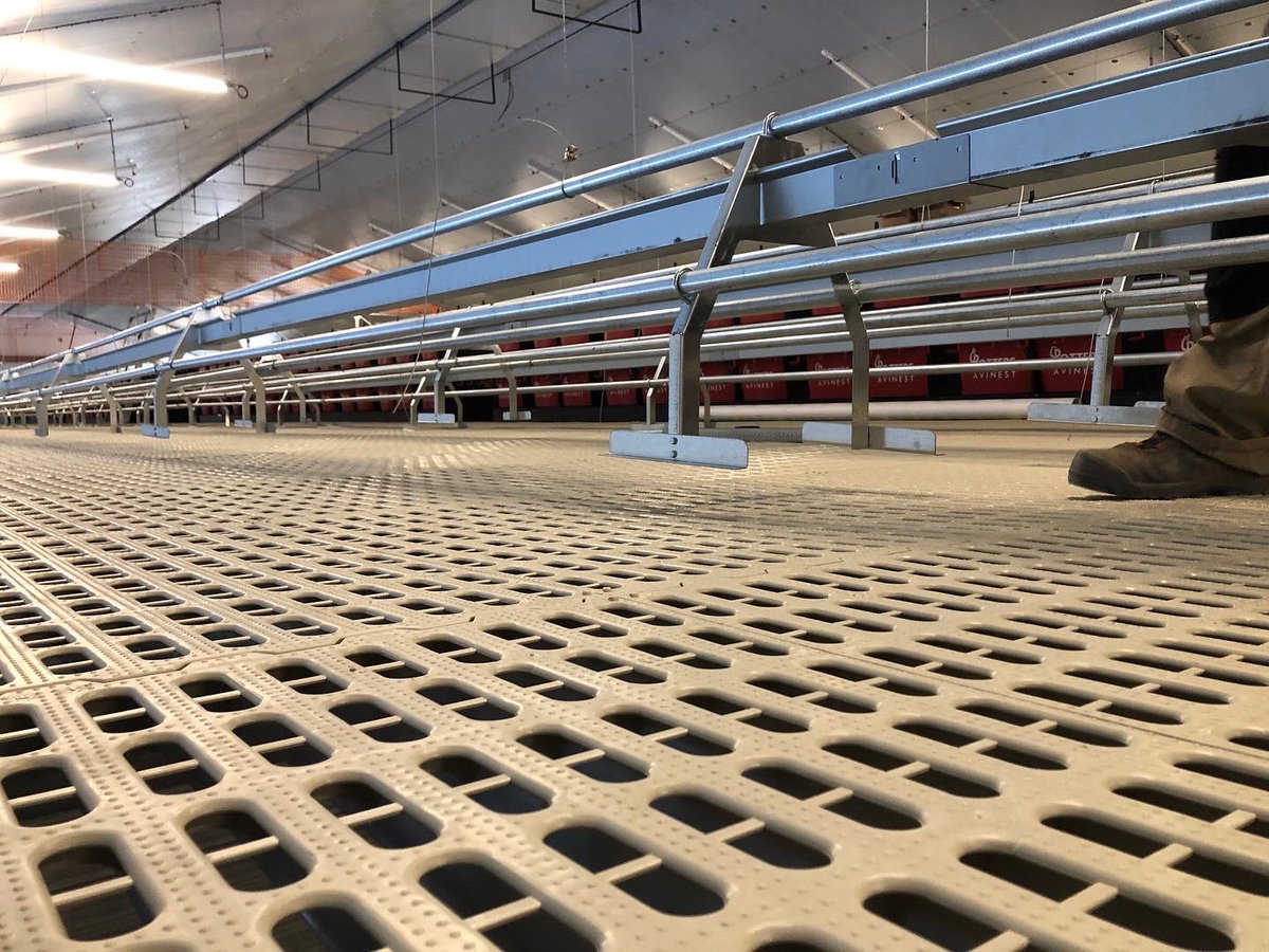 Tom Simpson tweet media