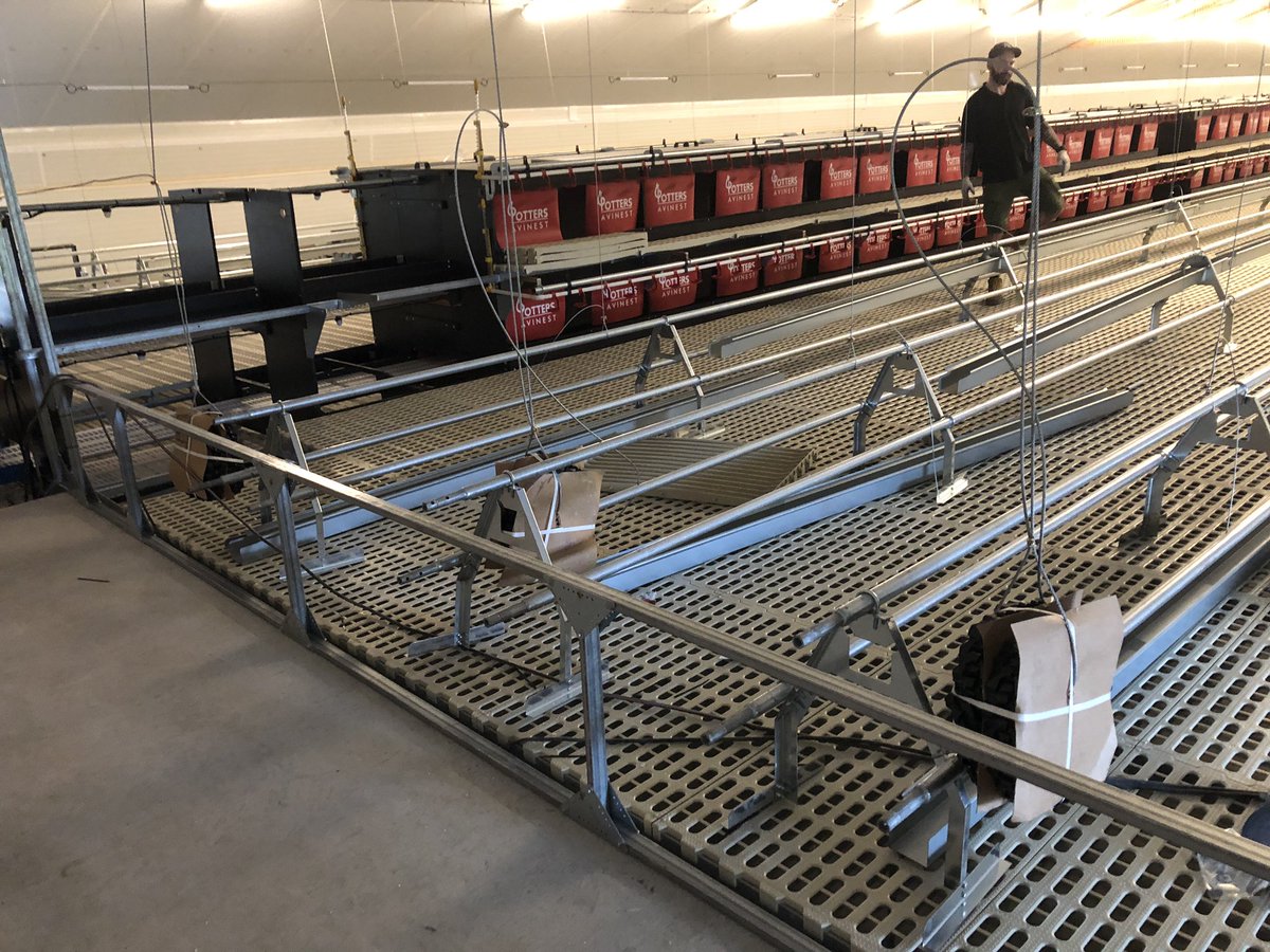 Tom Simpson tweet media