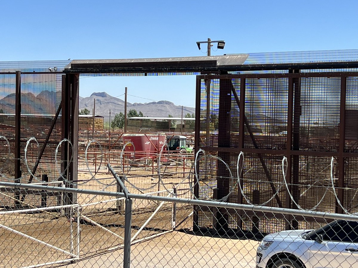 grassncows's tweet photo. The gate in the middle photo sees 600,000 Mexican cattle enter the US every year to be sorted and shipped through this facility. #interestingday Also horses and cattle heading south. https://t.co/V1br0p2KCc