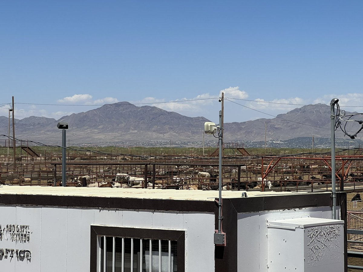 grassncows's tweet photo. The gate in the middle photo sees 600,000 Mexican cattle enter the US every year to be sorted and shipped through this facility. #interestingday Also horses and cattle heading south. https://t.co/V1br0p2KCc