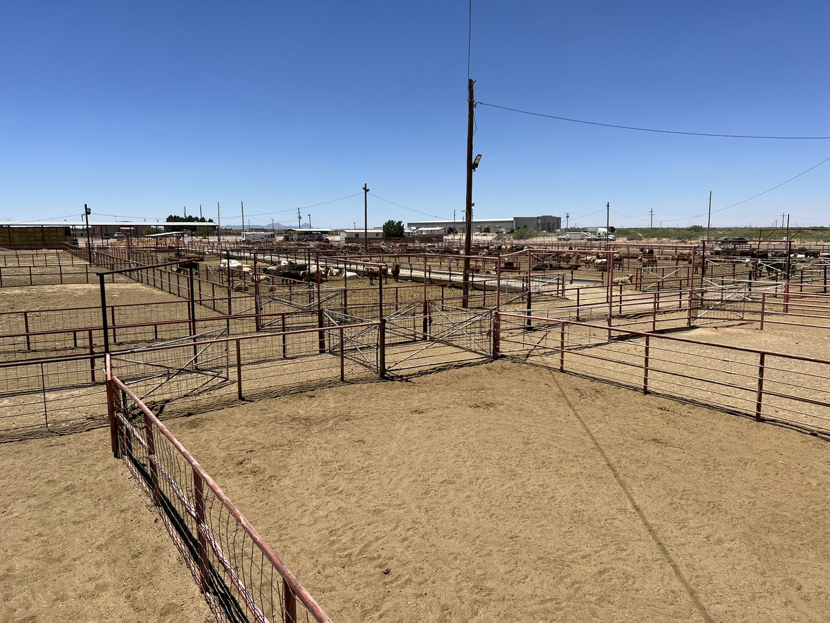 grassncows's tweet photo. The gate in the middle photo sees 600,000 Mexican cattle enter the US every year to be sorted and shipped through this facility. #interestingday Also horses and cattle heading south. https://t.co/V1br0p2KCc