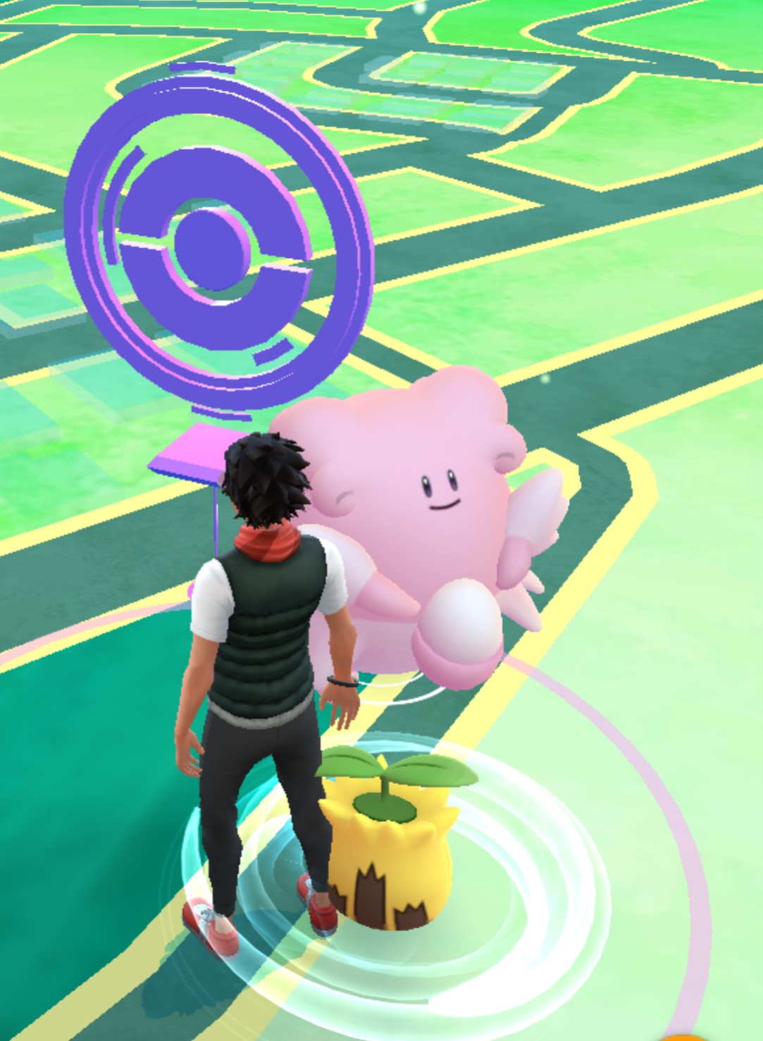 تويتر おベル ポケモンgo على تويتر 野生は焦る ポケモンgo ハピナス T Co Xoaitidumn