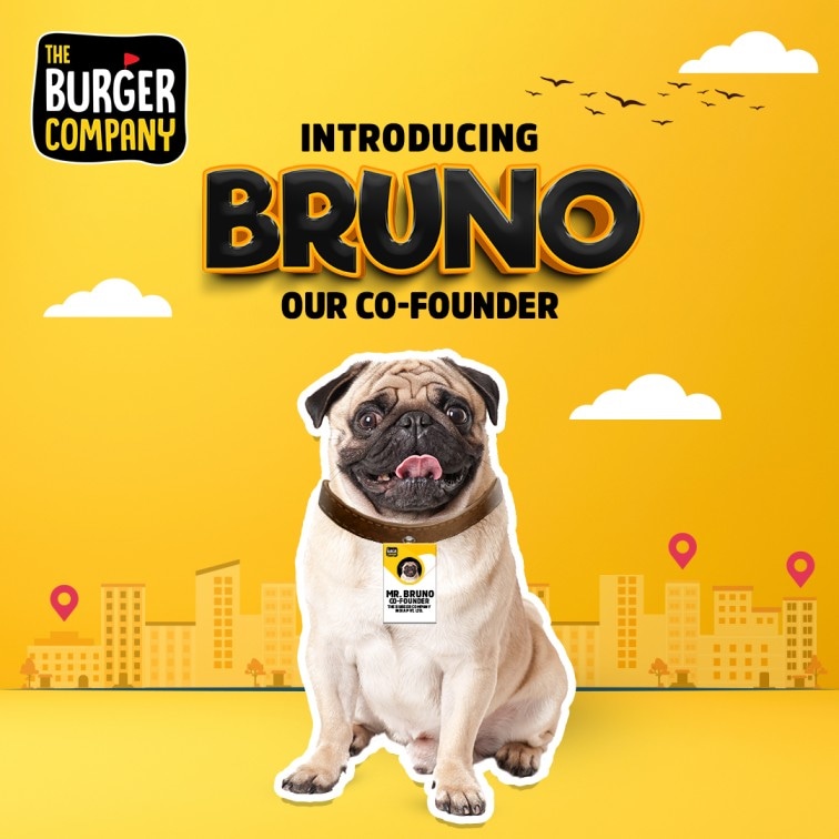 TBC is excited to Introduce Bruno - Our Co-Founder! See more of Bruno in our Stores!