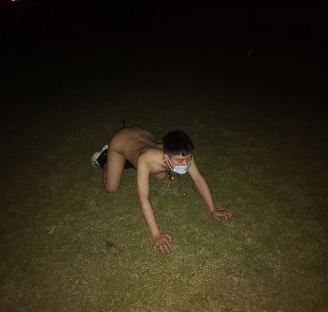 学生狗