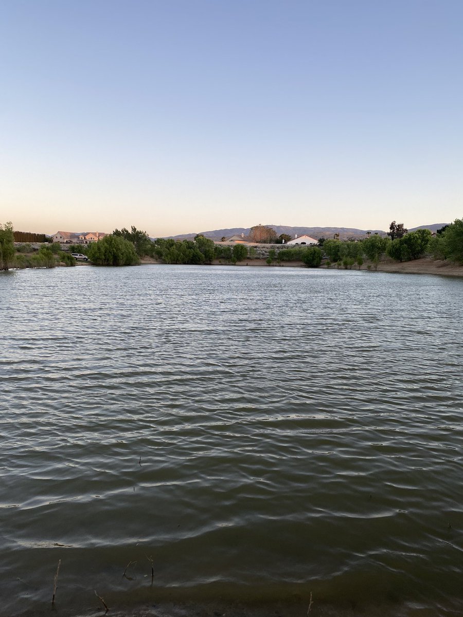 ari_frial's tweet photo. Pond tonight 🧚♂️🧜♀️#waterchild #Fishin https://t.co/ynQm80luJv