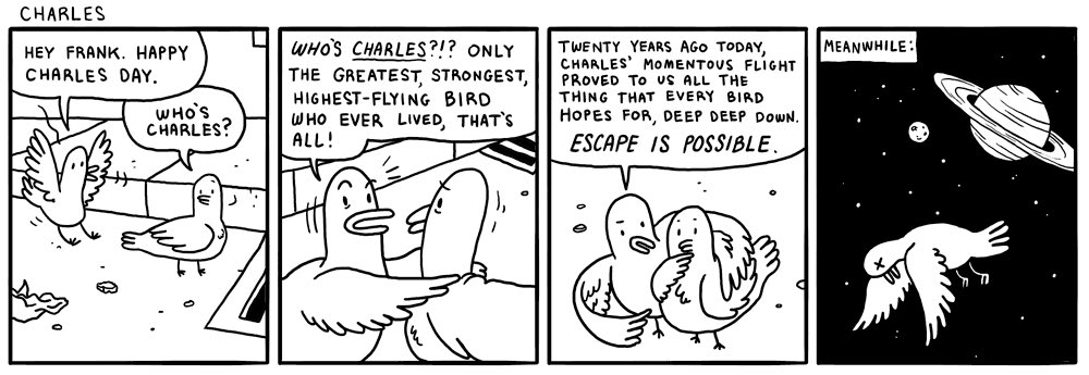 happy to share a dumbass idea about birds trying really hard to fly into space with the onion 