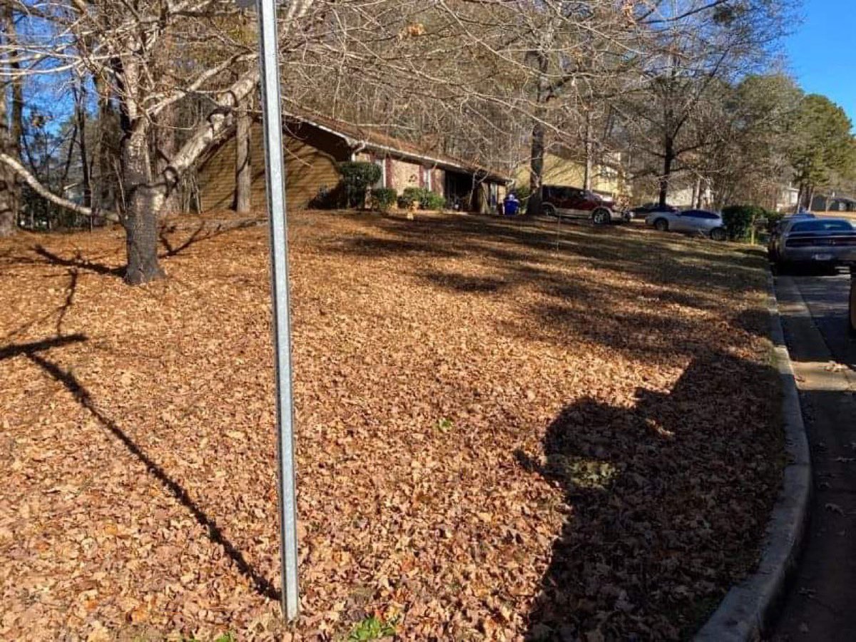 Country_Living_'s tweet photo. Cutting yards 678-371-2180 https://t.co/wWtlZ3pngK