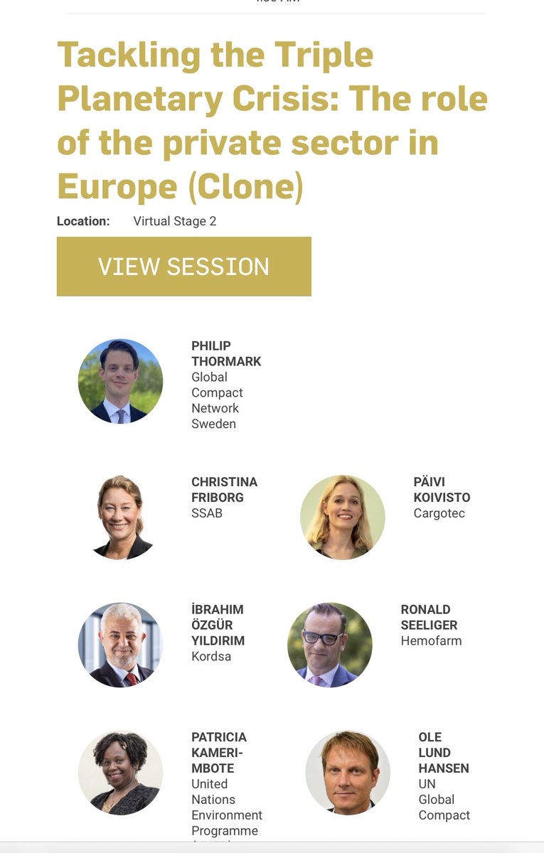 Marja_I's tweet photo. Today Leaders Summit and Päivi Koivisto from @cargotec on stage 2 at 11.30 am Finnish time. Go Päivi! #unitingbusines @globalcompact @globalcompactFi https://t.co/xNGXcG7Jes