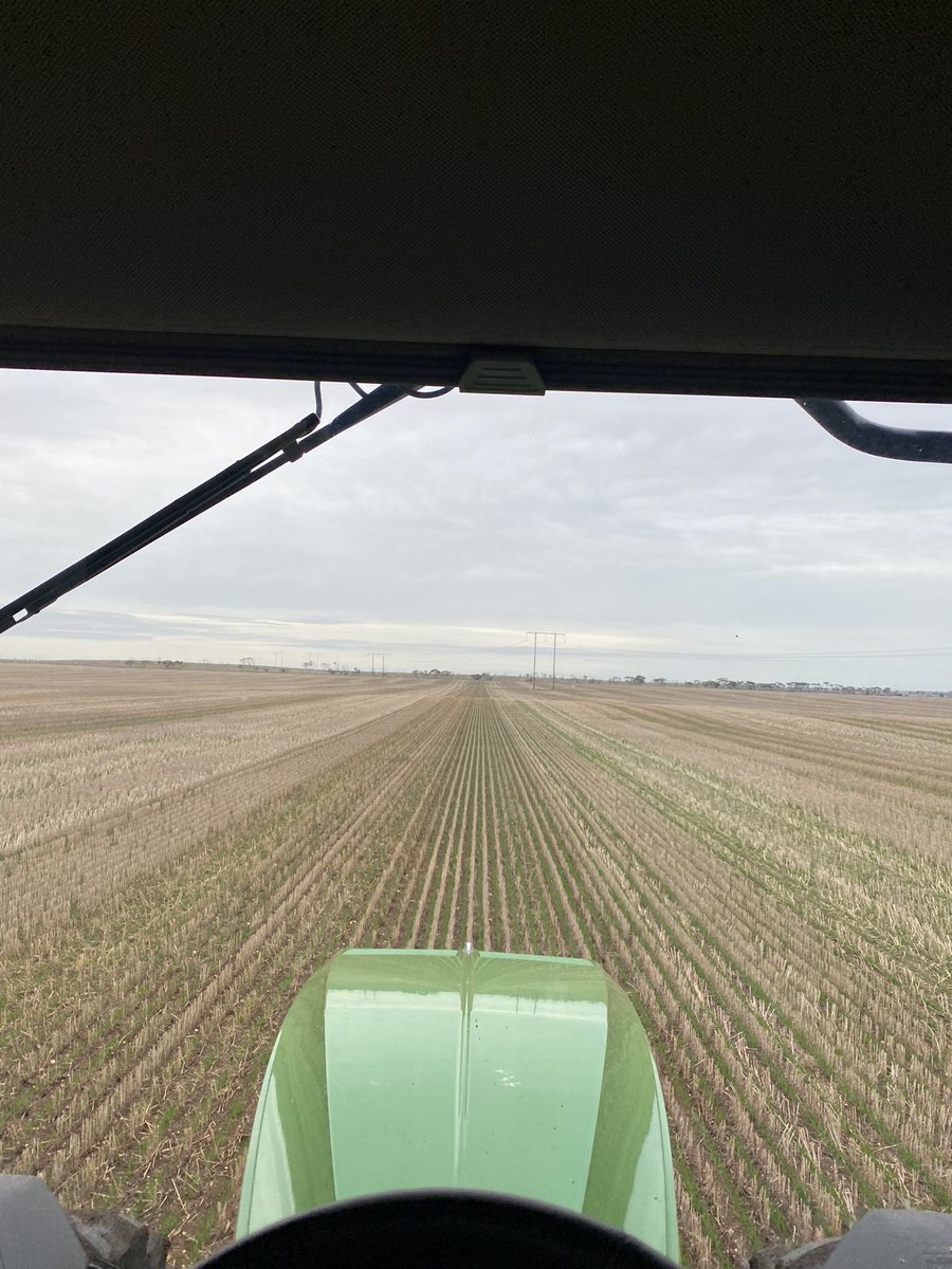 Putting some urea on the crops are are up and about. Hopefully another decent rain this weekend