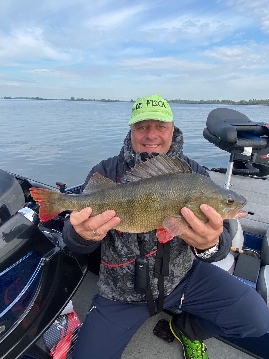 Unser Chef alias „Dr. Fisch“ bei der Arbeit 😜. Petri Heil und einen sonnigen Start in den Juni 😎 #fishing #elektro #juni #sommer